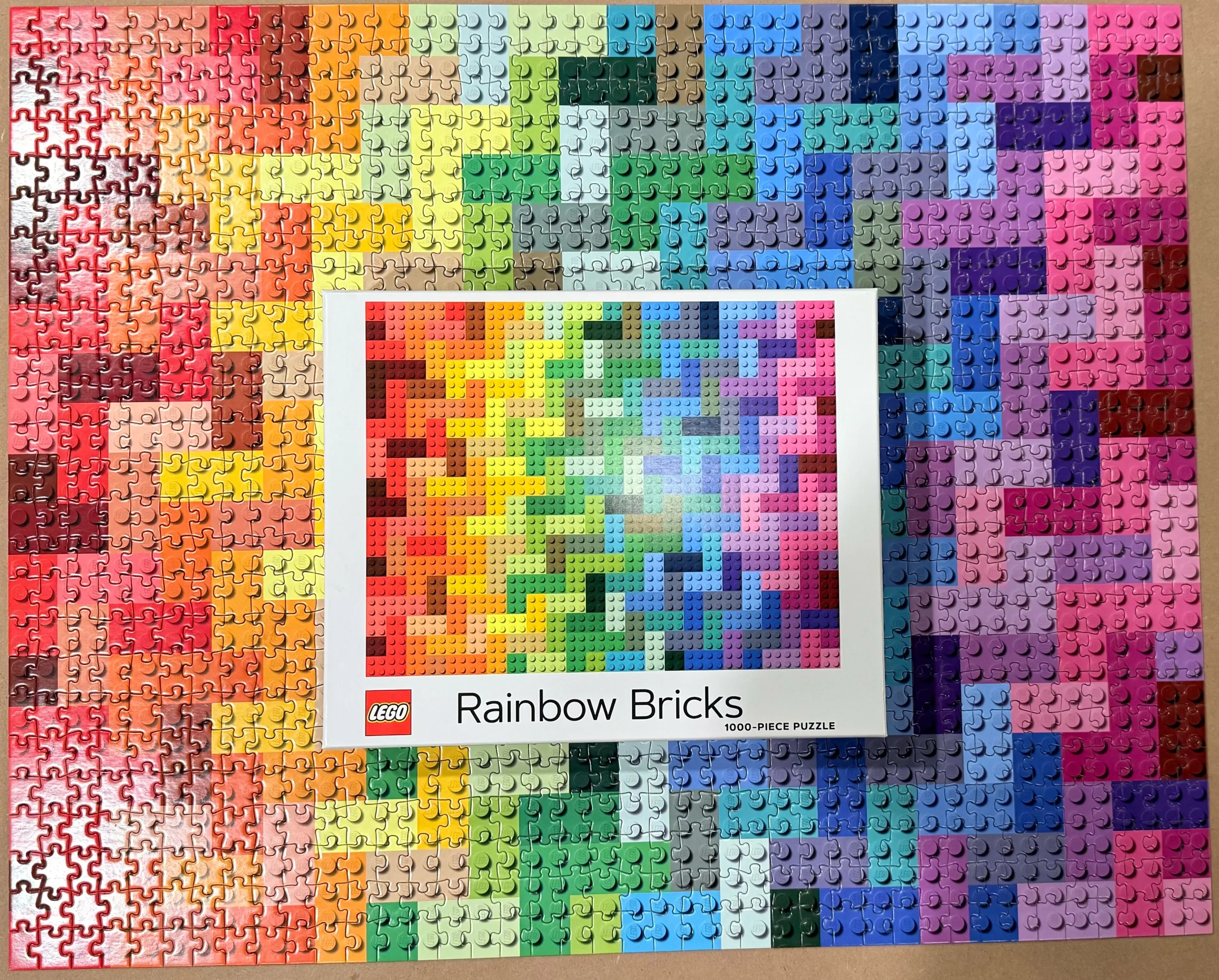 LEGO Rainbow Bricks – 1000 Pieces