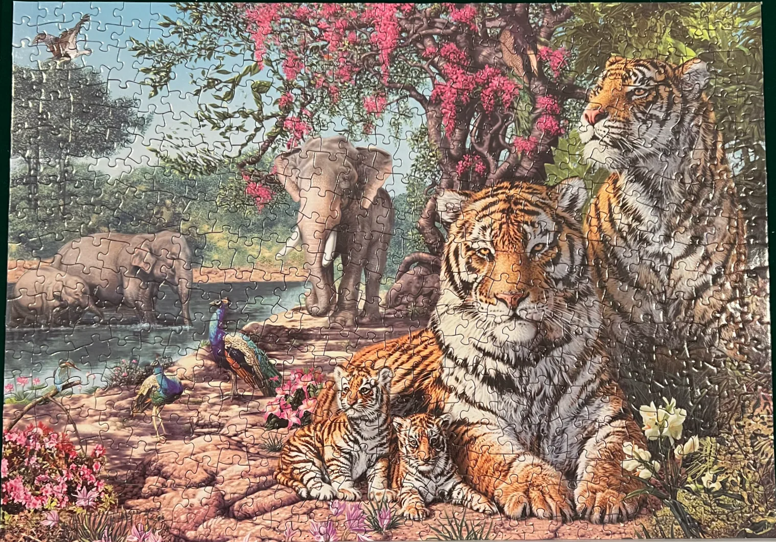 Tiger Sanctuary – 500 Piece Puzzle